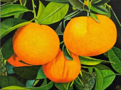 Frutas 11